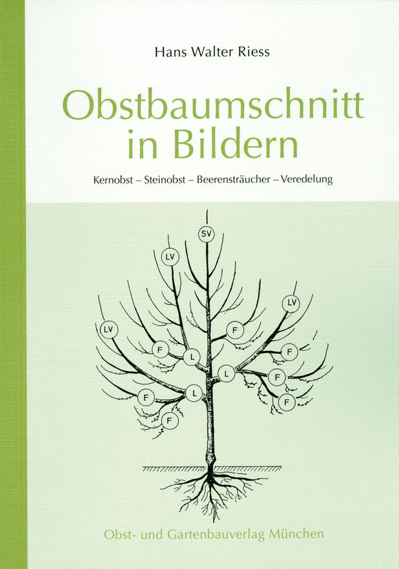 Taschenbuch: Obstbaumschnitt in Bildern von Hans Walter Riess